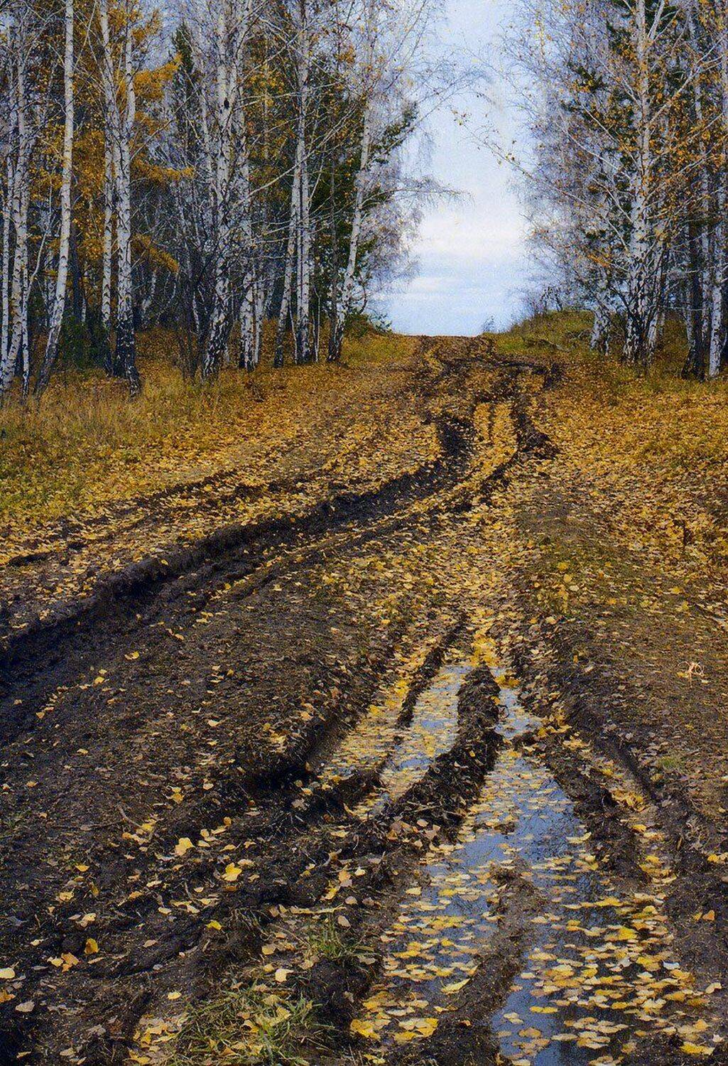 , Николай Морский