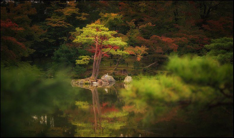Парк Кинкакудзи фото превью
