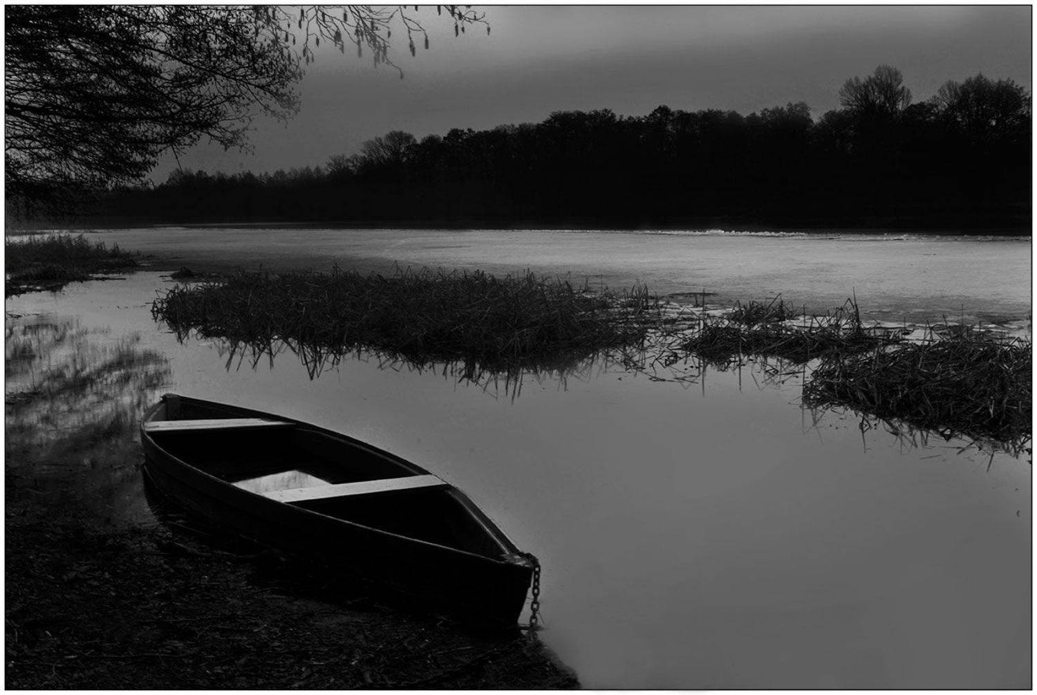 , Роман Рыжков