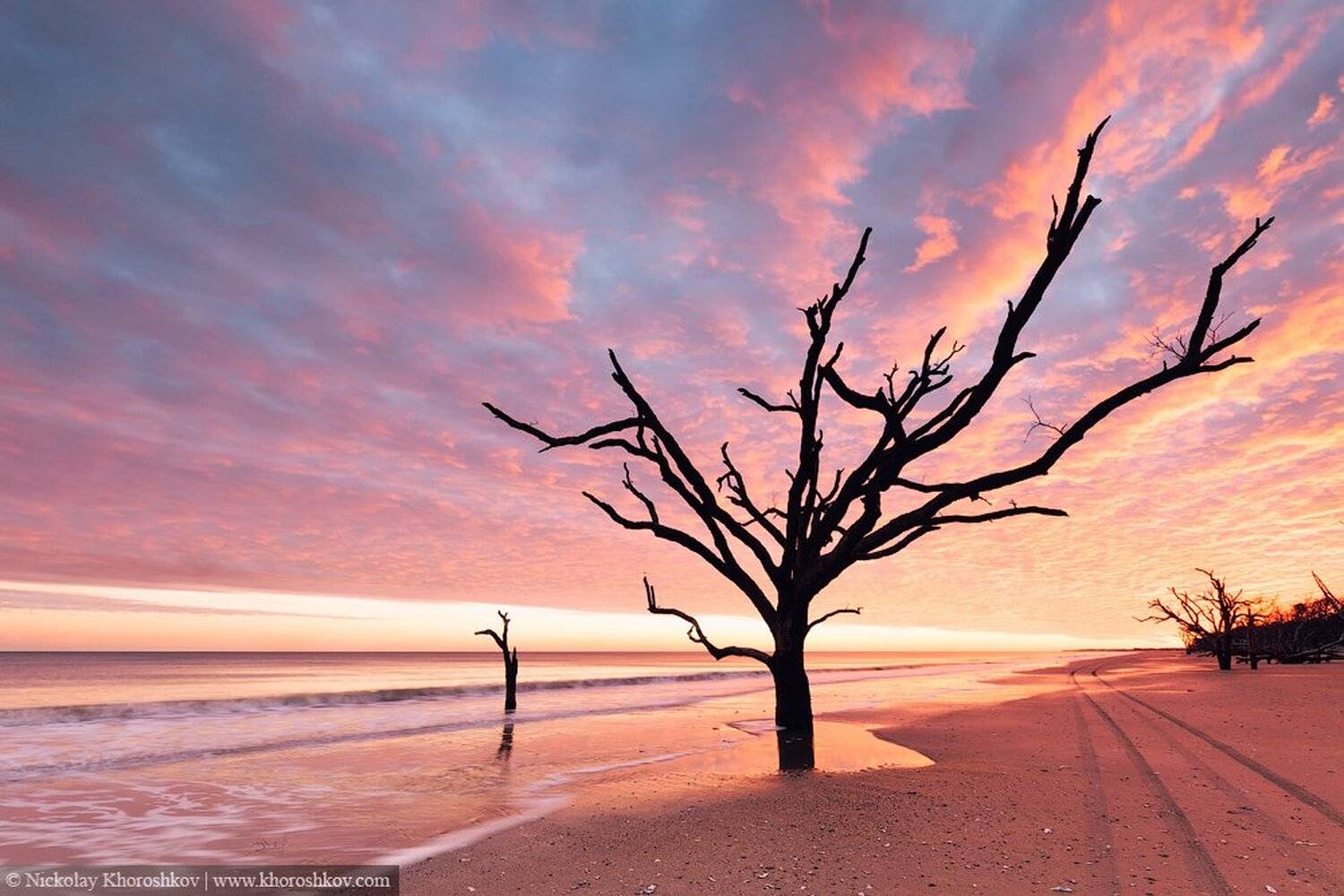 #BotanyBay, #SouthCarolina, Usa, Николай Хорошков