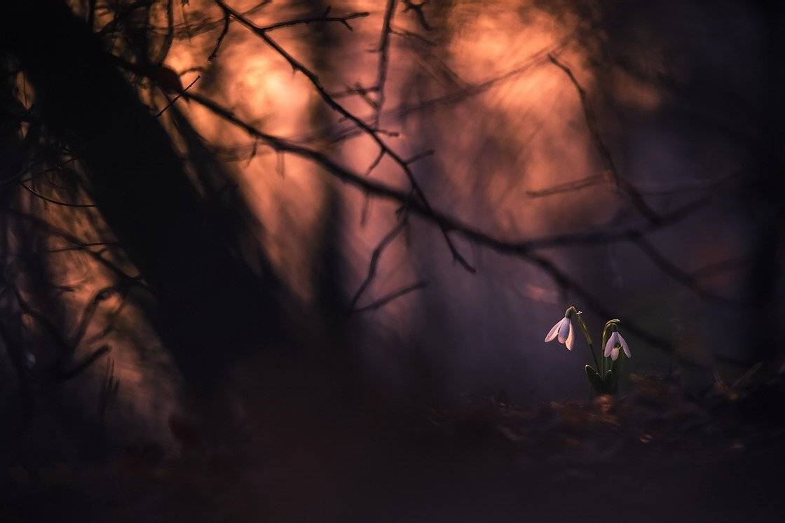 , Вячеслав Мищенко