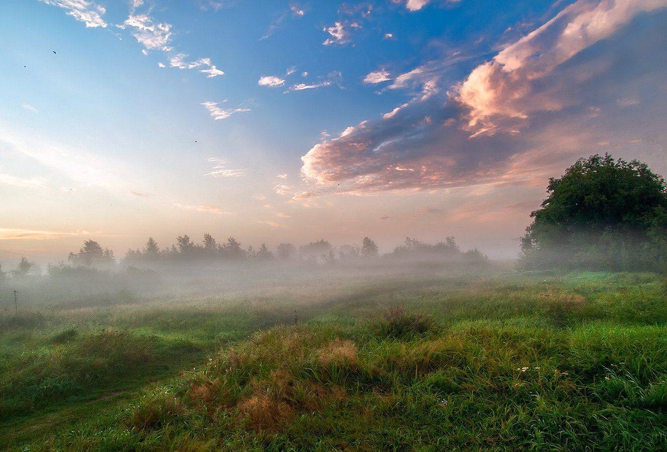 , Марина Брыдня