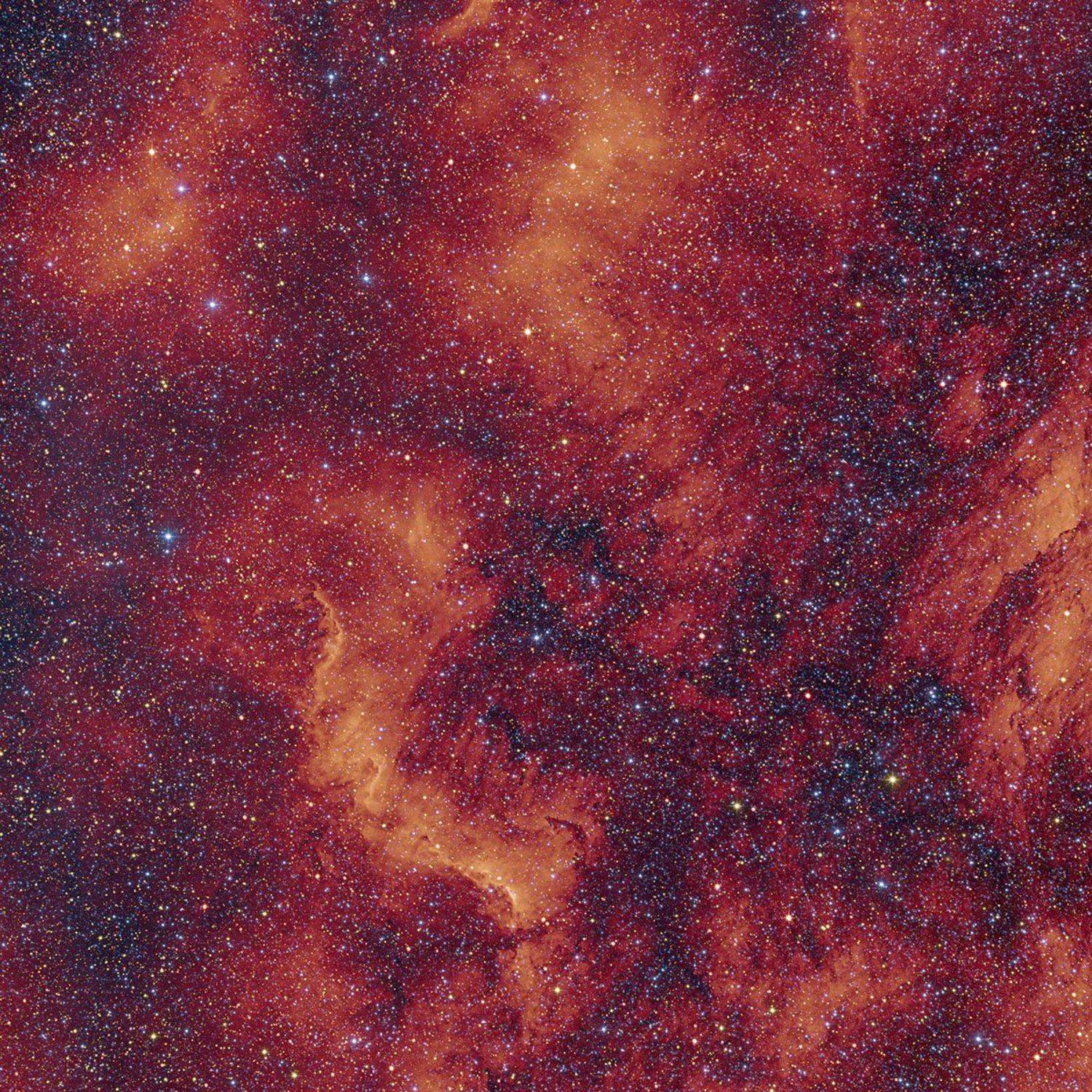 , Константин Миронов