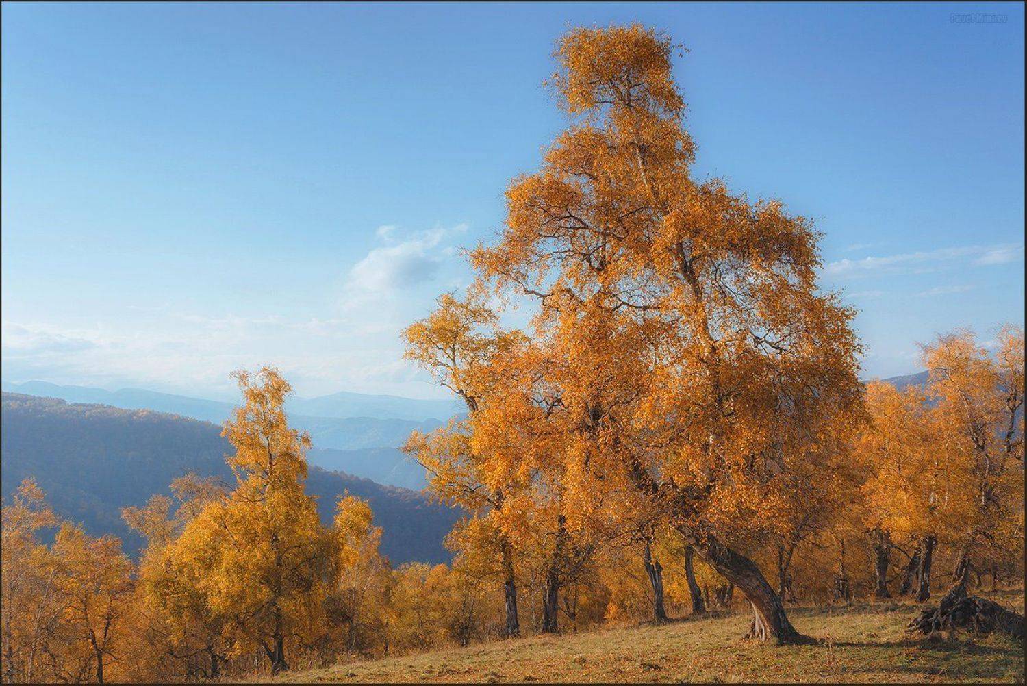 , Минаев Павел