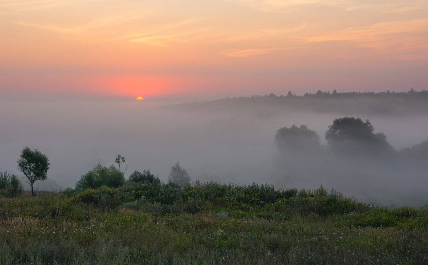 , Руслан Сигушин
