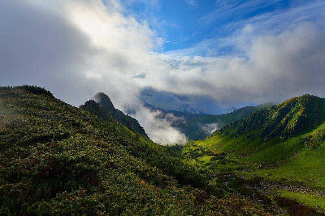 , Ярослав Тюрменко (Jaremi)