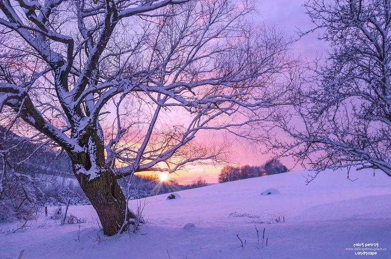 Pod bodom mrazu фото превью