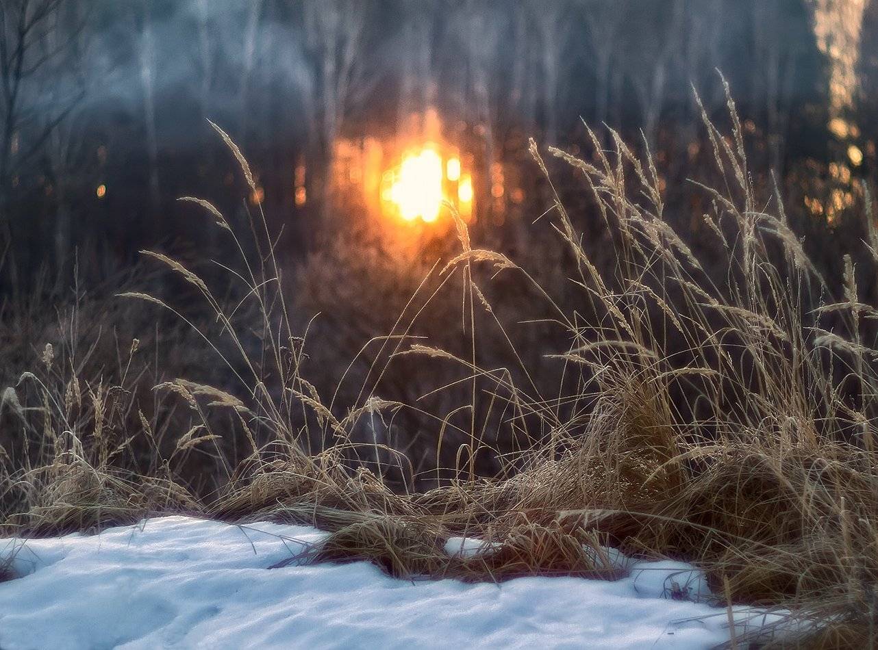 , Марина Брыдня