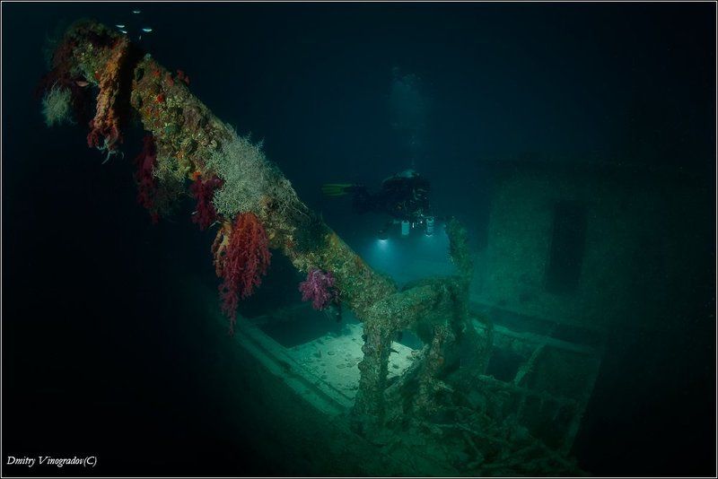 Розали фото превью