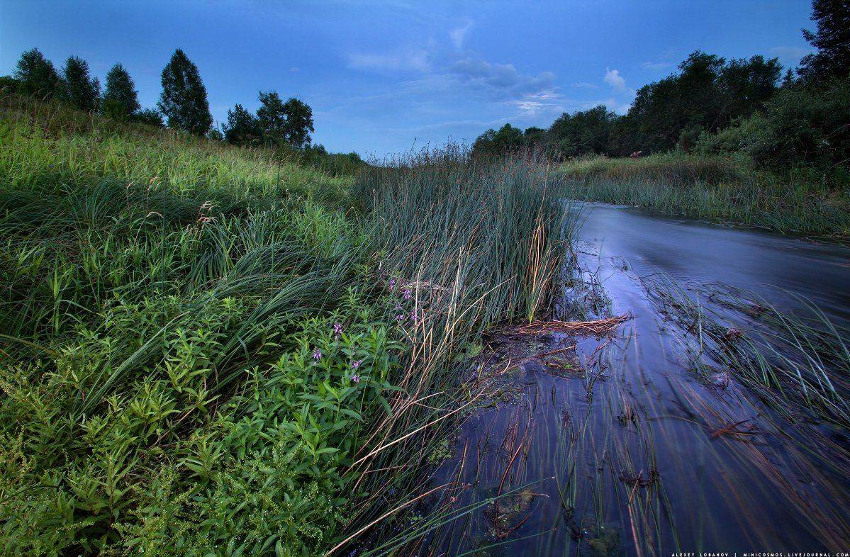 , Алексей Лобанов