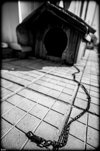 Once upon a time... you were alive