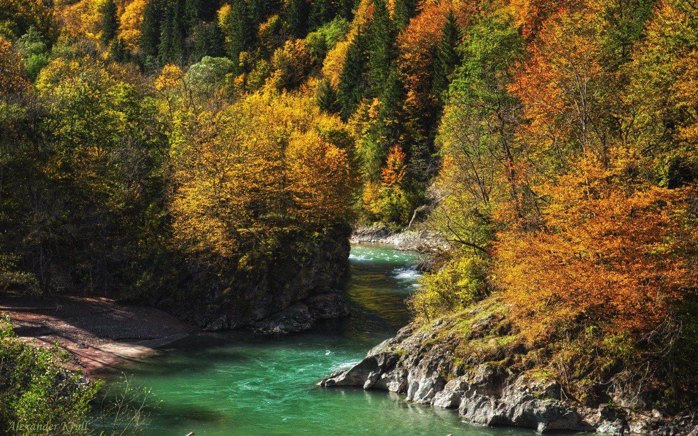 , Александр Круль