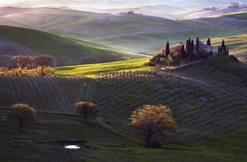 Tuscan Morning фото превью