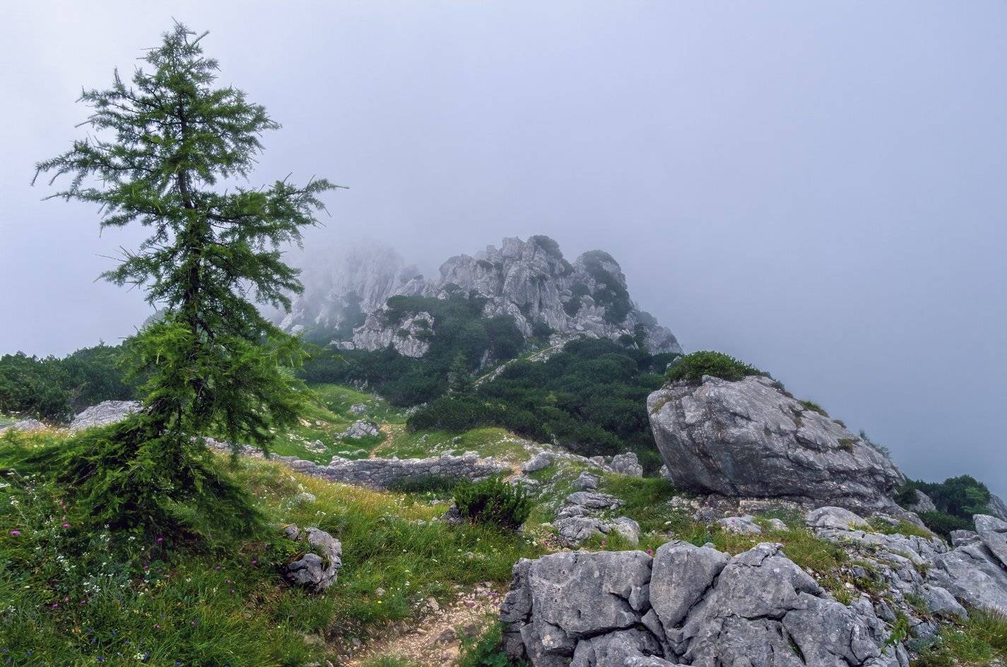 , Игорь Мелекесцев