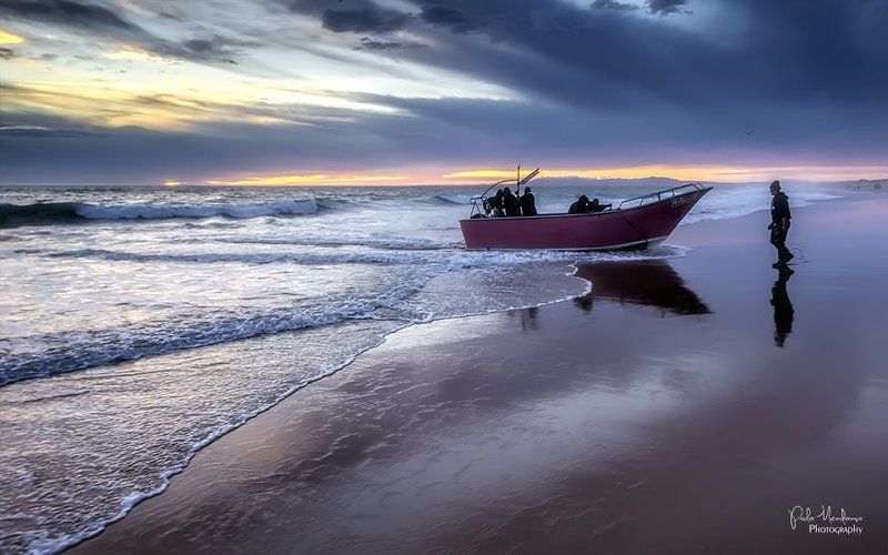 The arrival фото превью