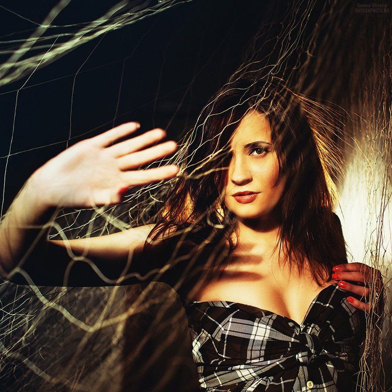 Entangled in the grid фото превью