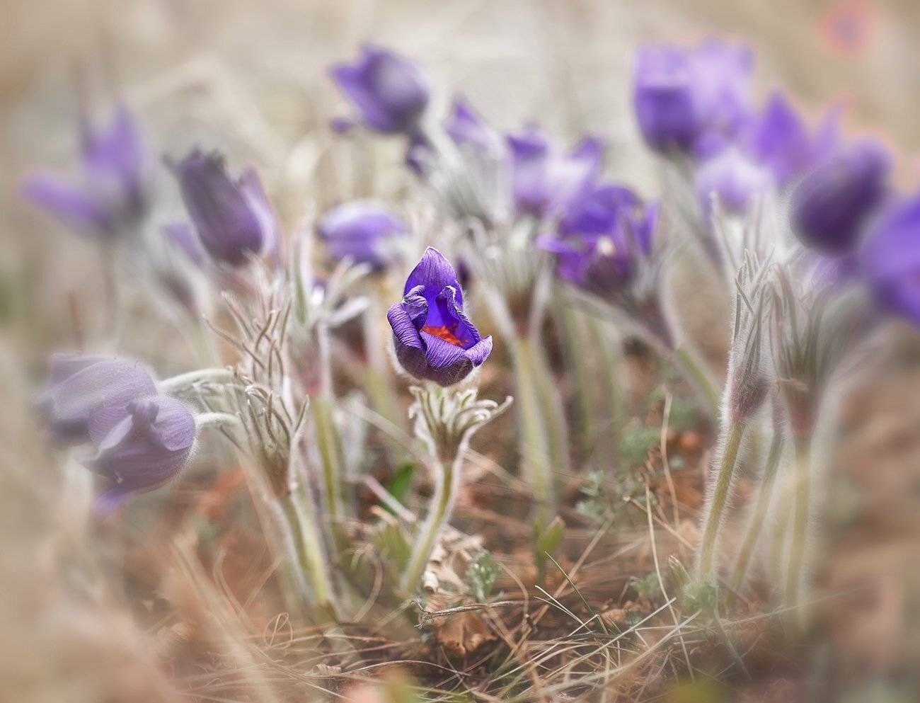 Качурин, Качурин алексей, Оренбургская область, Орск, Южный урал, Качурин Алексей