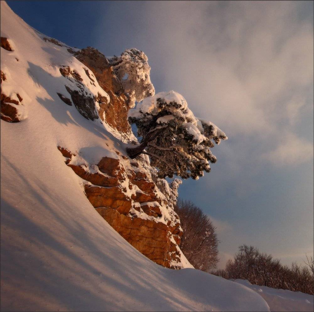 , Петриченко Валерий