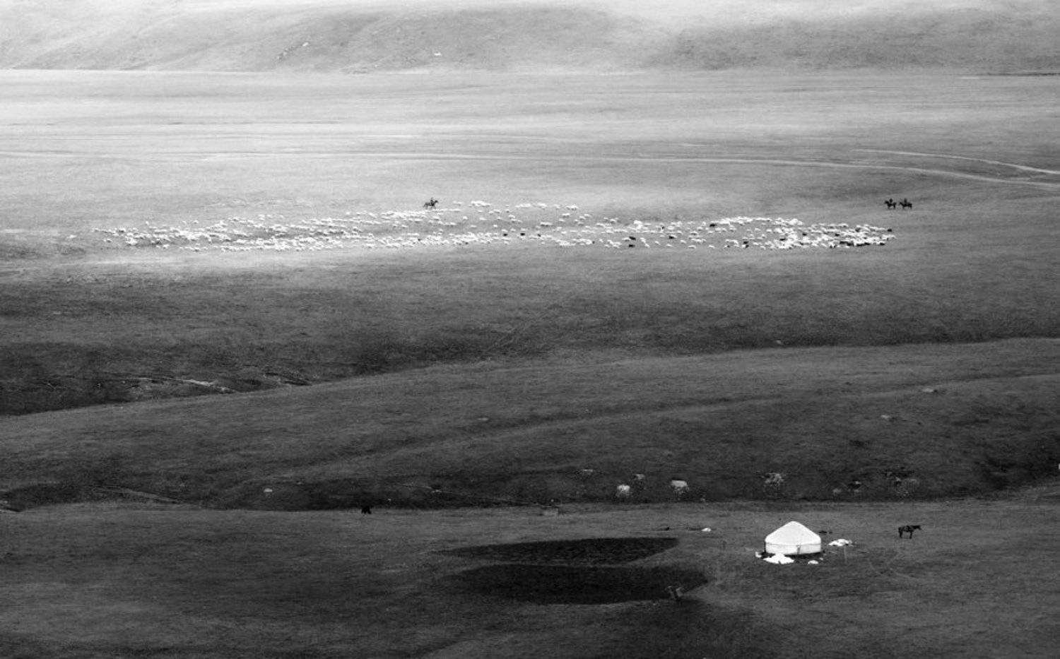 , Мира Голубь