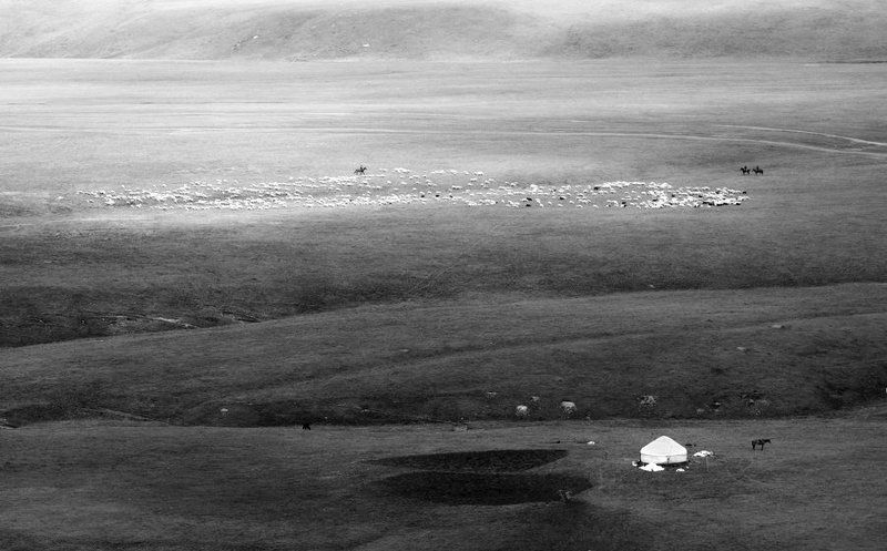 *** фото превью