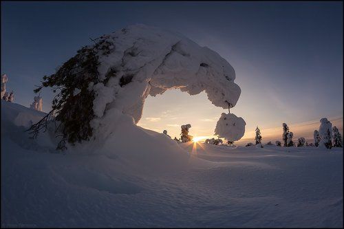 Зимние причуды.