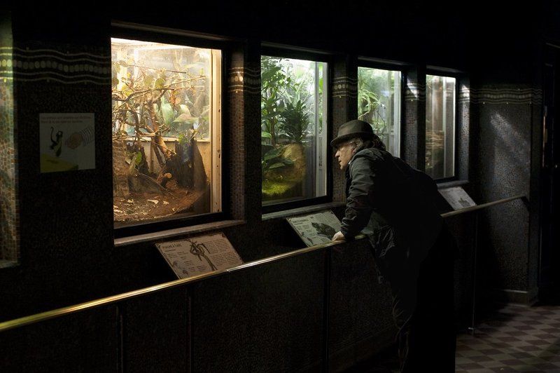 Vivarium#2 фото превью