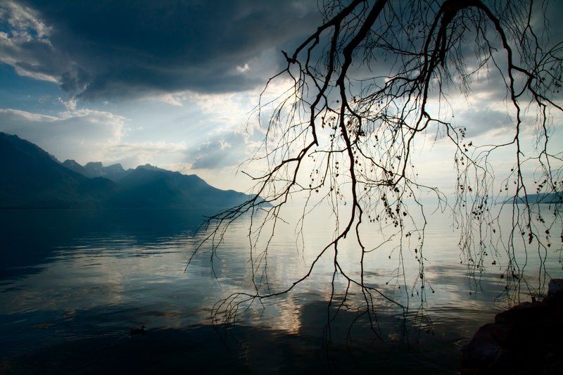 *** фото превью