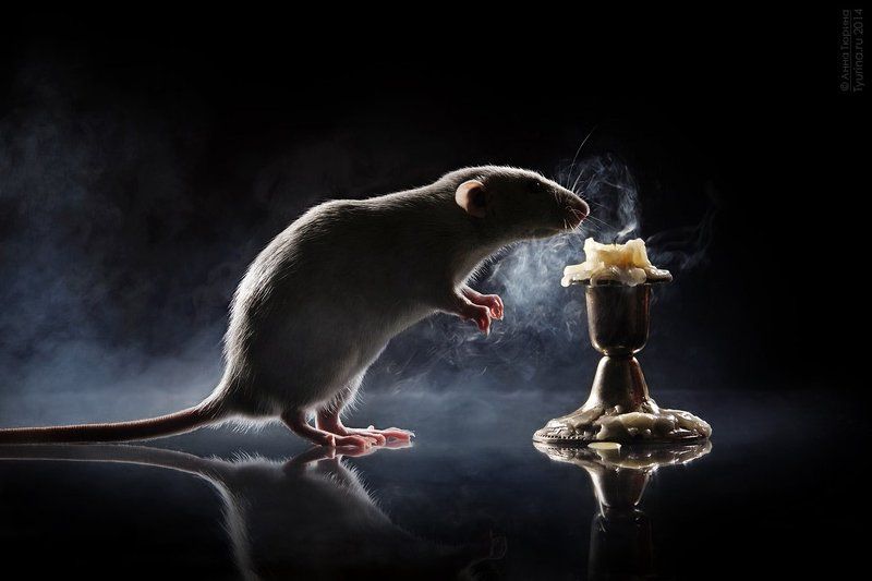 Фантазия фото превью