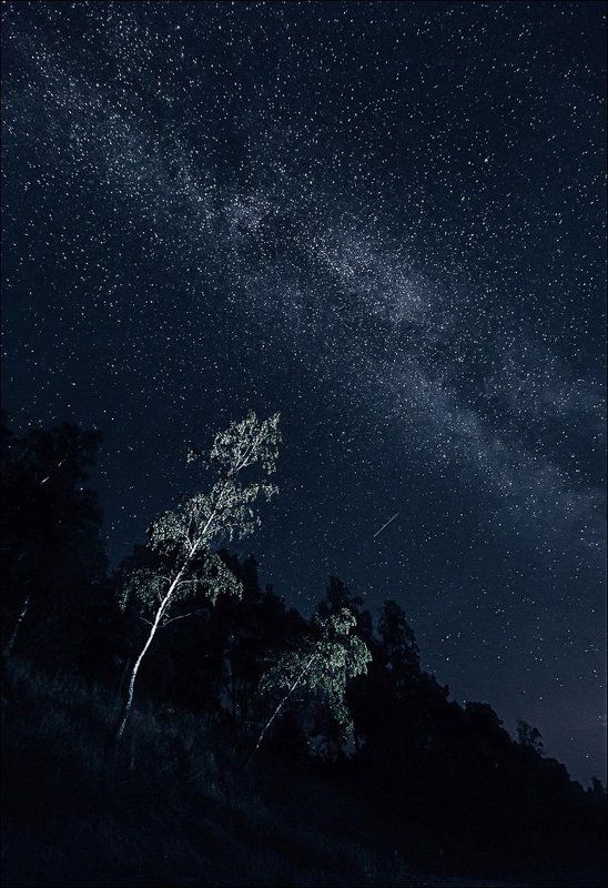 Baltic sea, Canon, Landscape, Long exposure, Sea, Stars, Деревья, Длинная выдержка, Звёзды, Камни, Латвия, Луна, Море, Небо, Ночной пейзаж, Ночь, Пейзаж, Цвет Латвийские ночи. фото превью