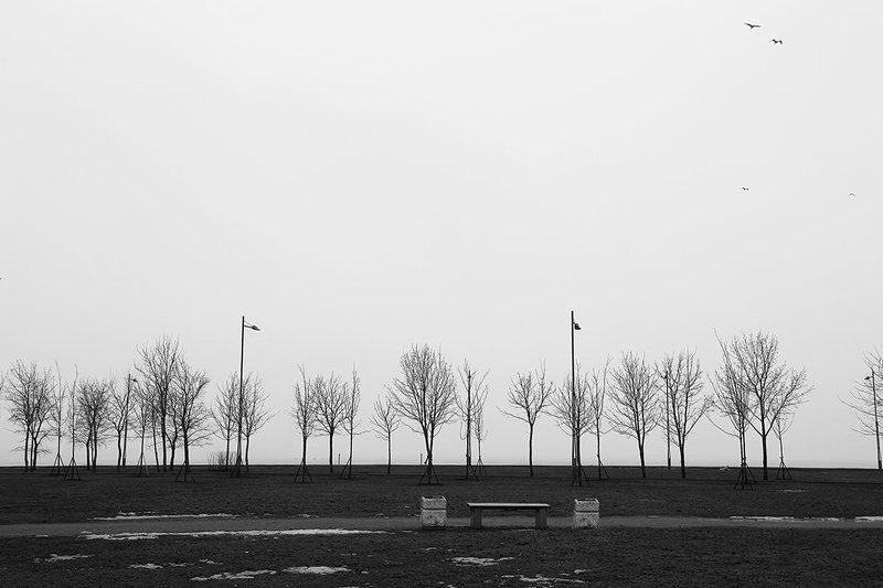 Black & white, Black and white, Cold, Ice, Saint-petersburg, White, Winter, Горизонт, Зима, Лед, Минимализм, Холод M/N/MAL/SM фото превью