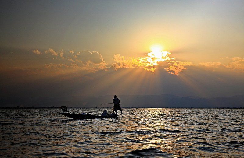 Fishman фото превью