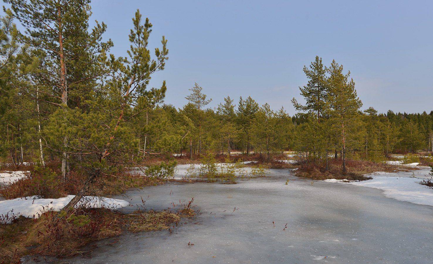 , Сергей Седов