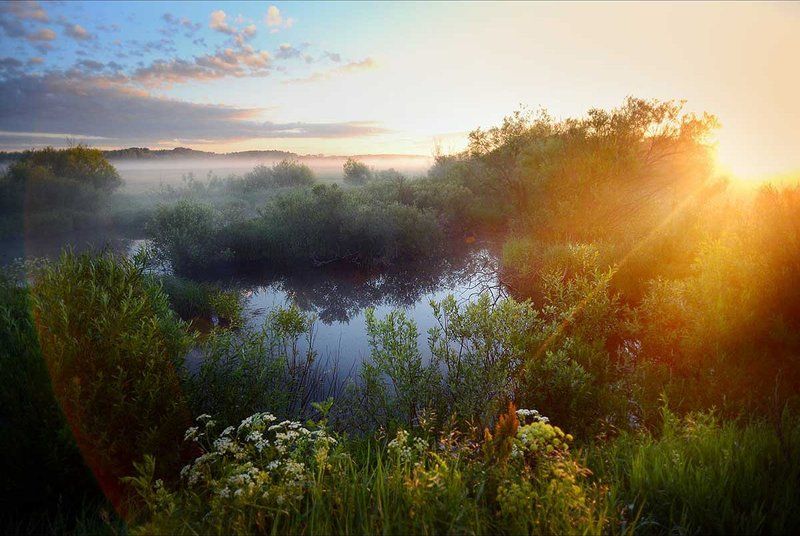 Balabanovip, Балабанов, Природа, Рай, Рассвет, Солнце, Утро Маленький рай фото превью