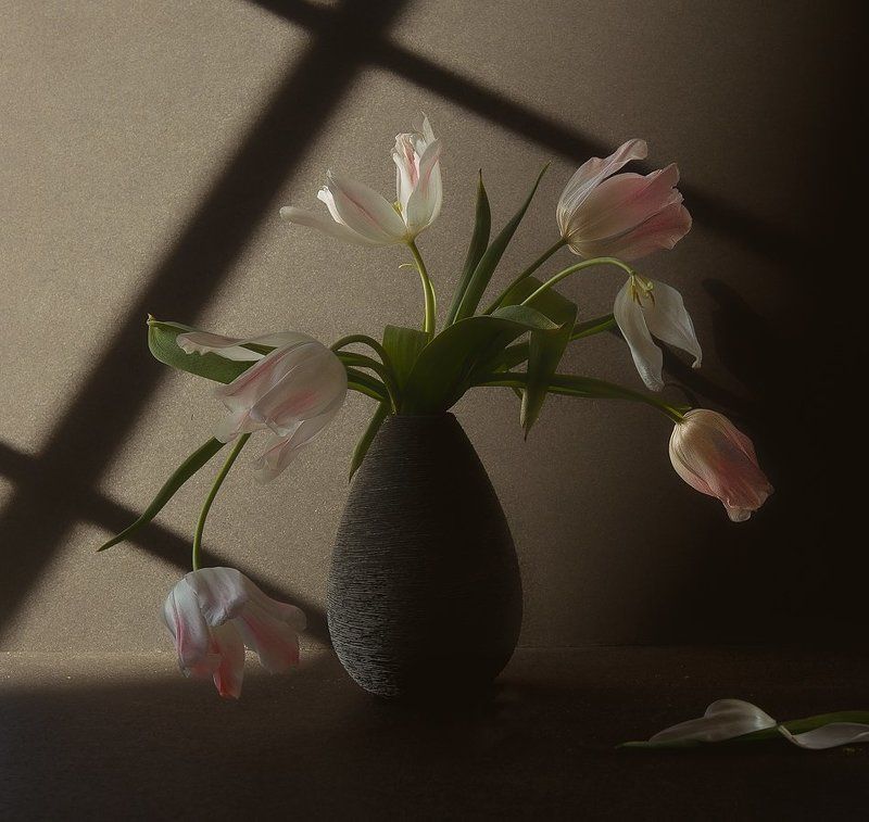 На закате дня... фото превью