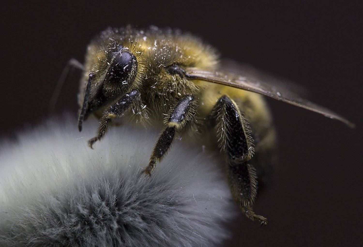 , Петрова Татьяна