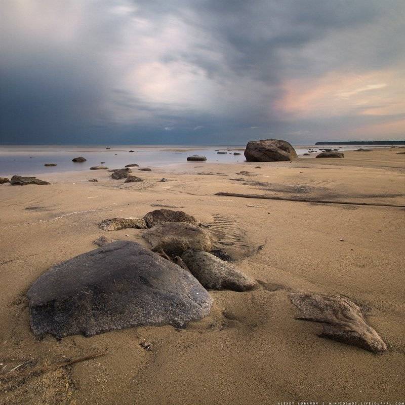 Рыбинское, Ярославская область, Алексей Лобанов