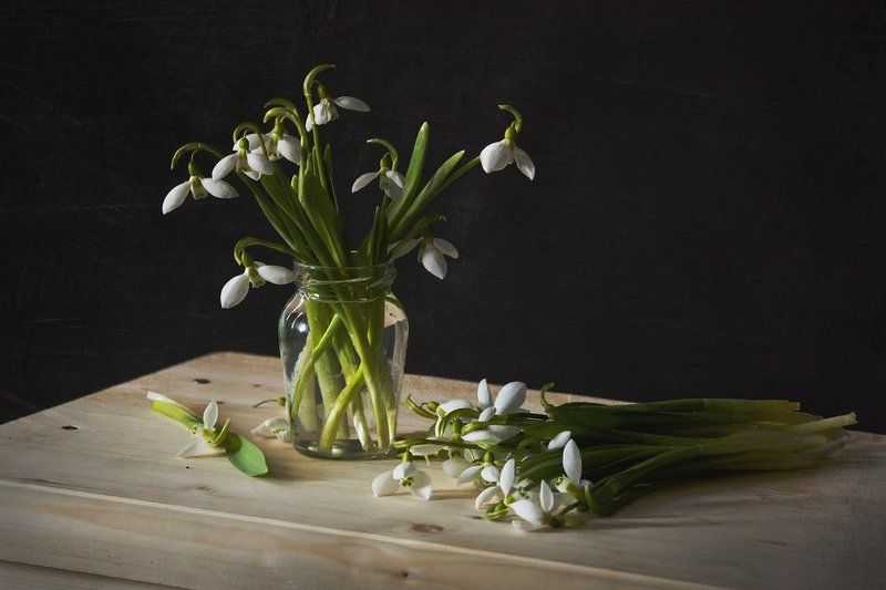 Натюрморт, Подснежники *** фото превью