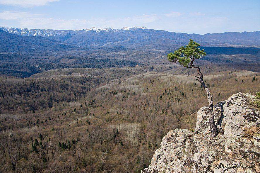 , Ловиков Михаил