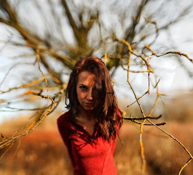 Color, Mood, Portrait, Red, Salamander, She, Toxic, Tree Salamandra фото превью