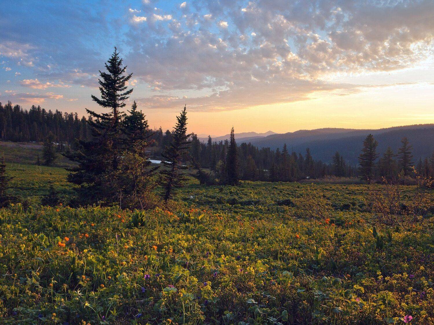 , Лещёнок Александр