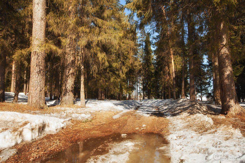 , Сергей Сотников