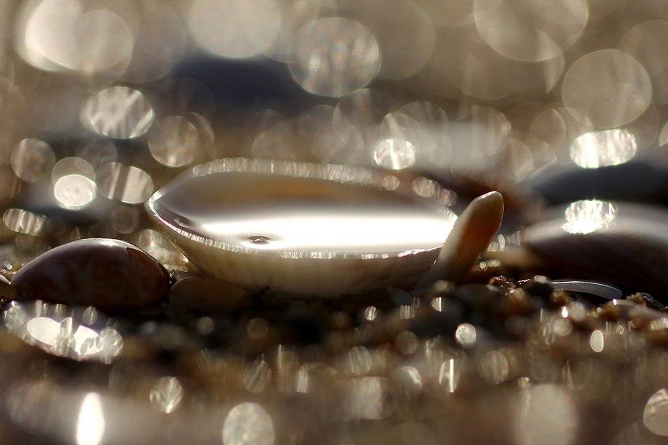 , Иваненко Светлана