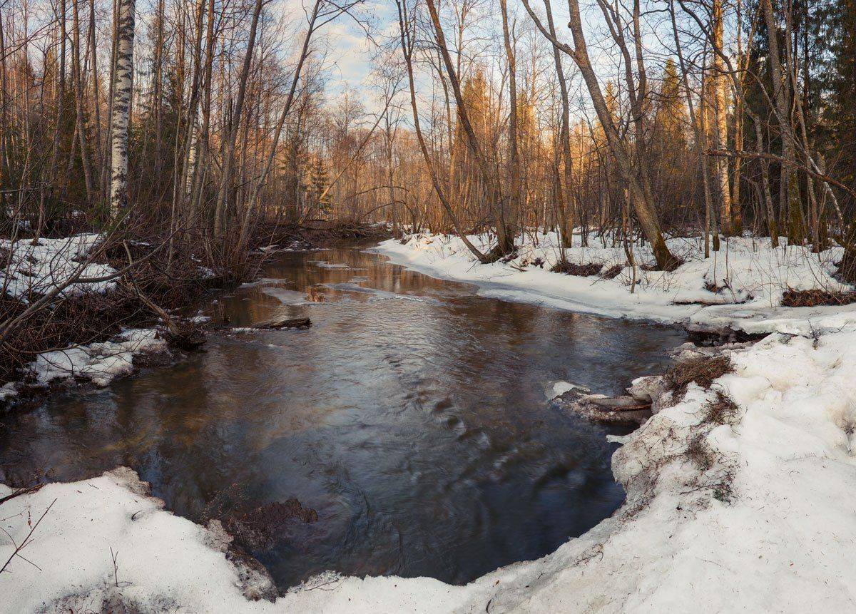 , Хохряков Николай