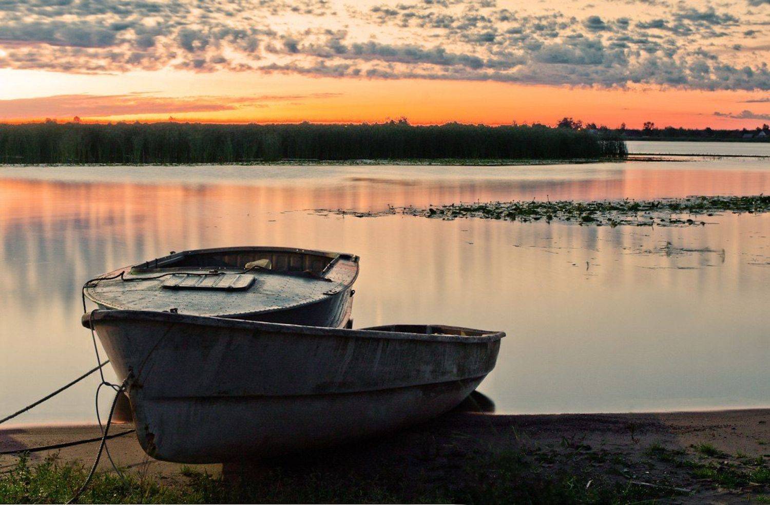 , Евгений Морозов