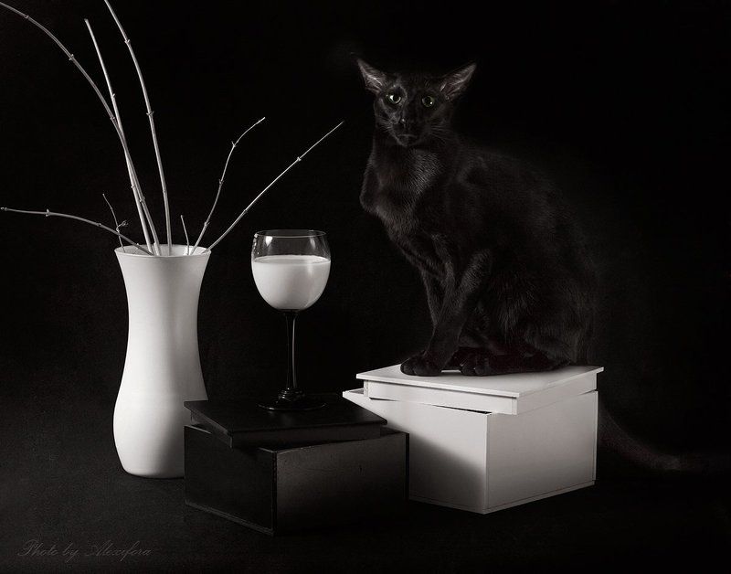 По натуре я блондин фото превью