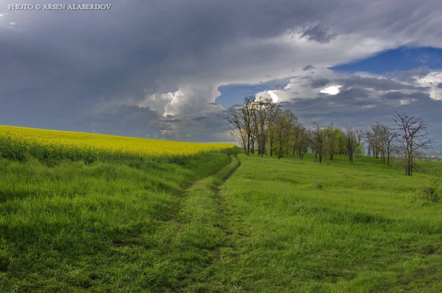 Небо, Свет, Солнце, Трава, Тучи, Арсен Алабердов