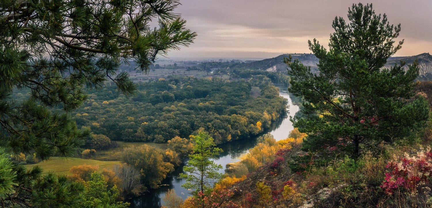 , Игорь Мелекесцев