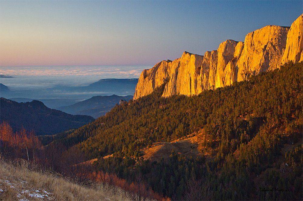 , Ловиков Михаил