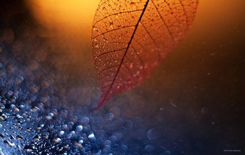 Нежное прикосновение