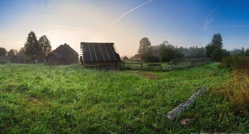 Летнее утро в деревне